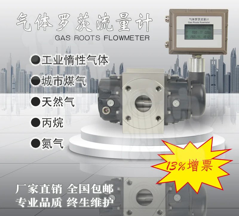 電池供電羅茨流量計(jì)產(chǎn)品圖